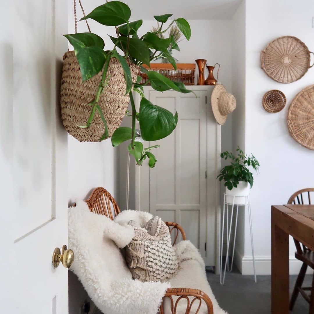 Hanging Basket Garden? Learn How to Make a Hanging Garden