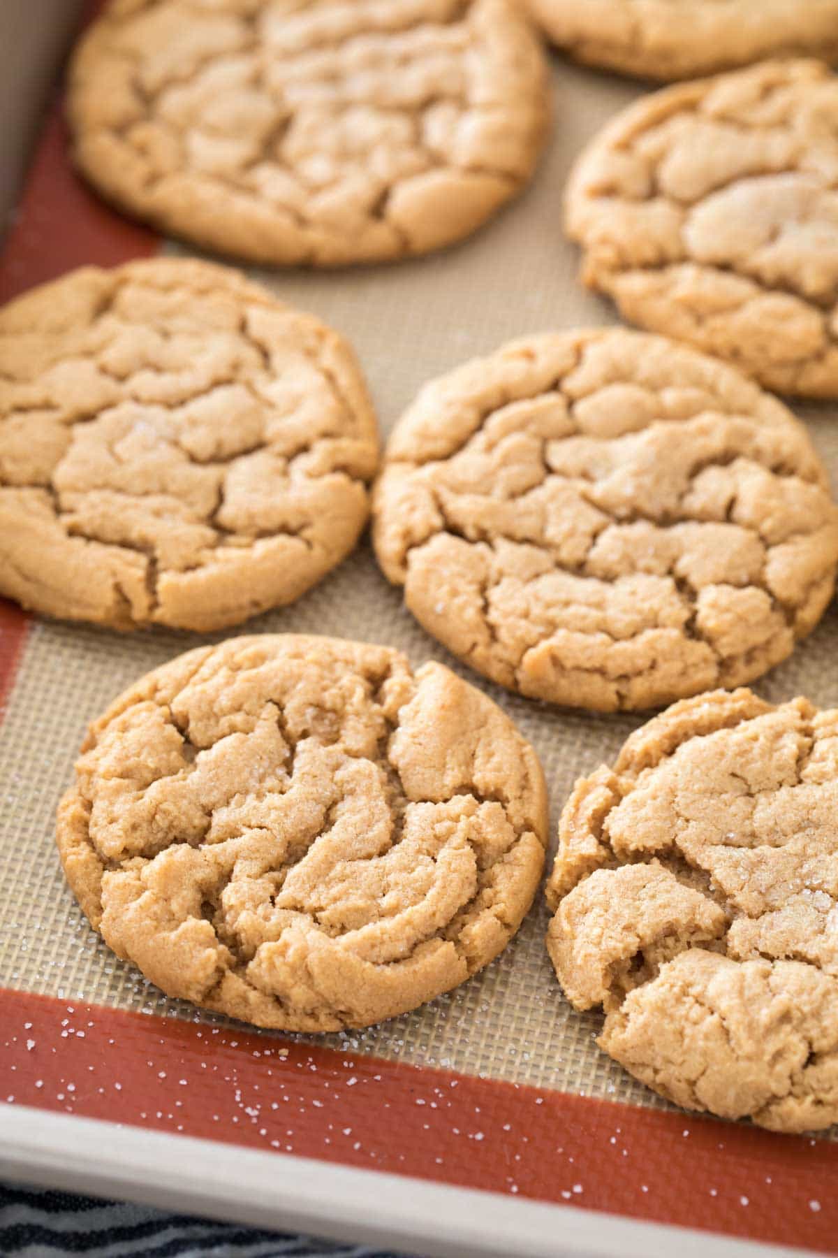 Love Cookies? You'll Enjoy These 10 Yummy Cookie Recipes From Sugar Spun Run
