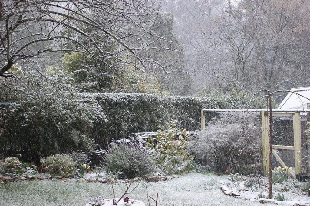 Top 10 Tips To Prepare Your Garden For Winter