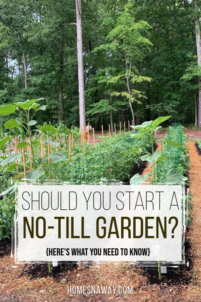Should You Start A No-Till Garden?