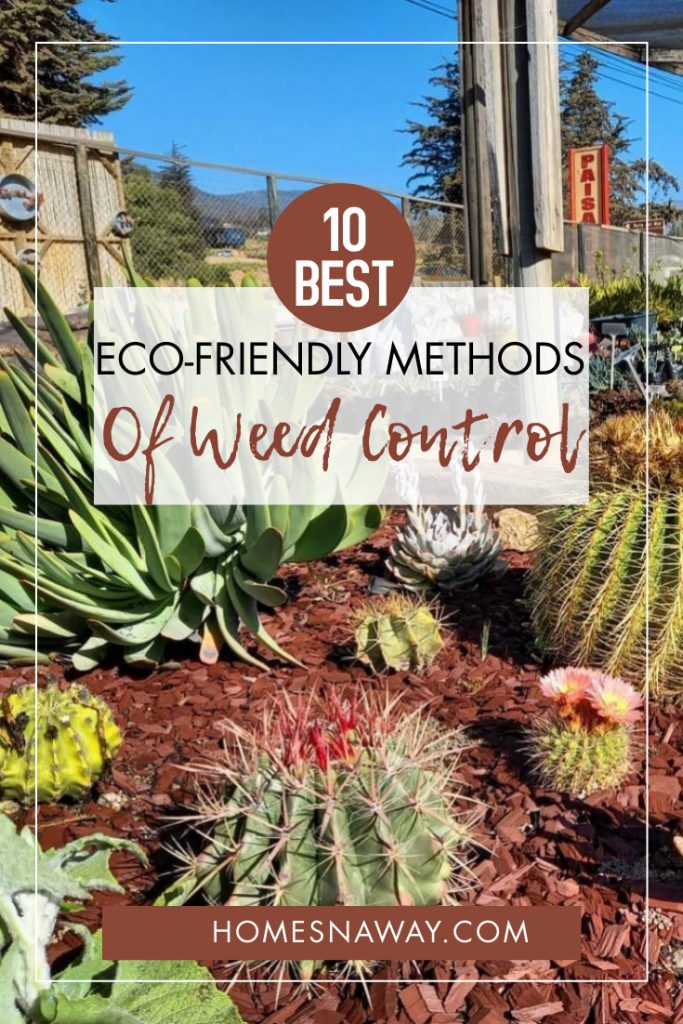 10 Eco-Friendly Methods of Weed Control For Your Lawn & Garden