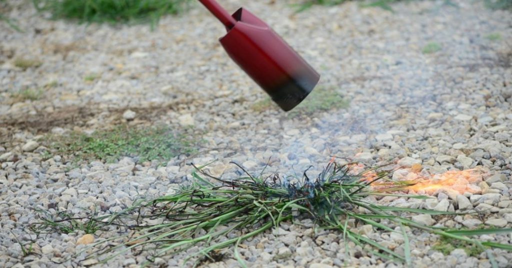 10 Eco-Friendly Methods of Weed Control For Your Lawn & Garden