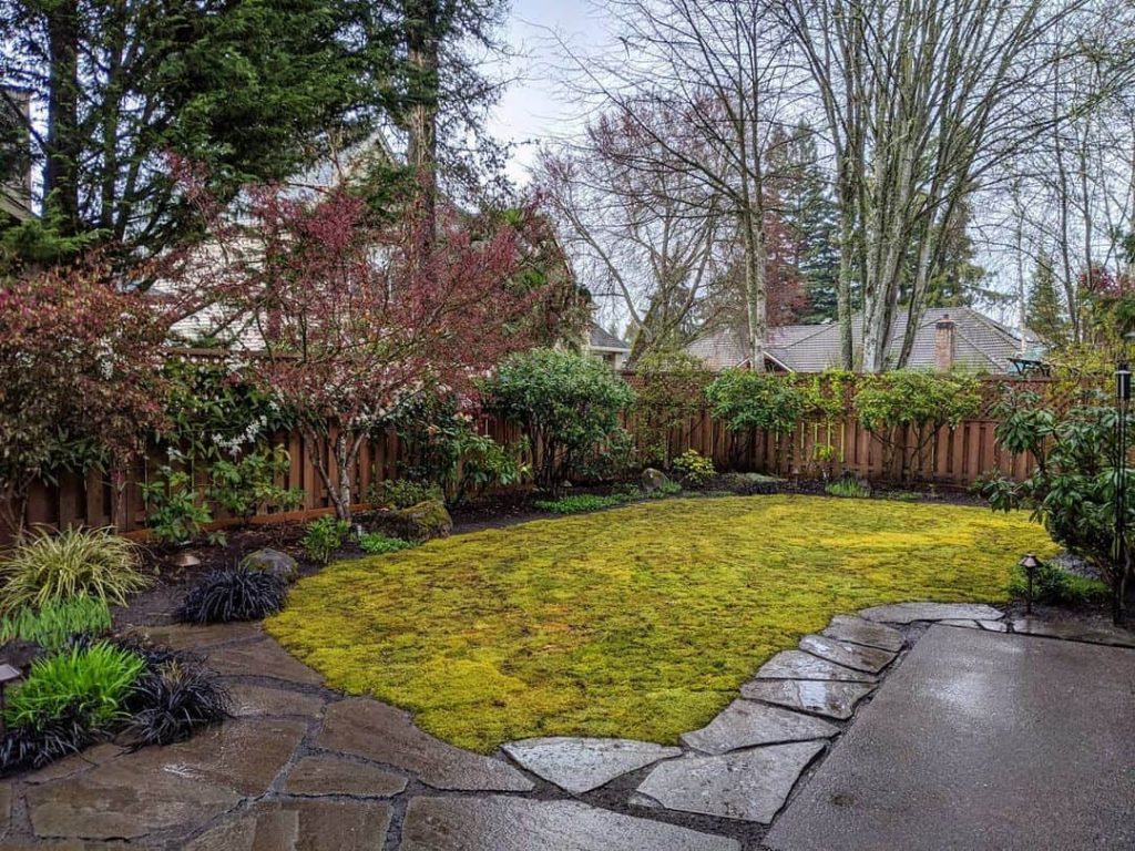 15 Ideas for Landscaping your Yard Without Grass