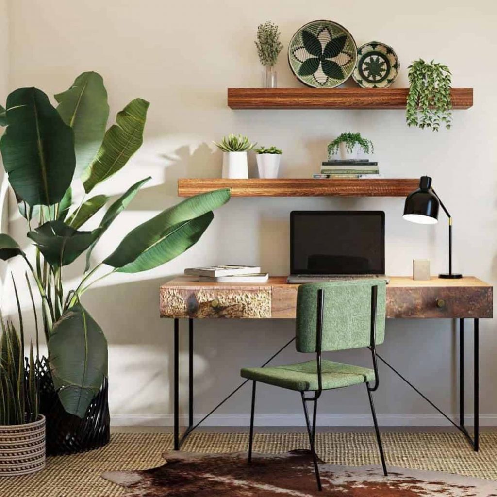 20 Houseplant Decor Ideas To Inject Life Into Your Home